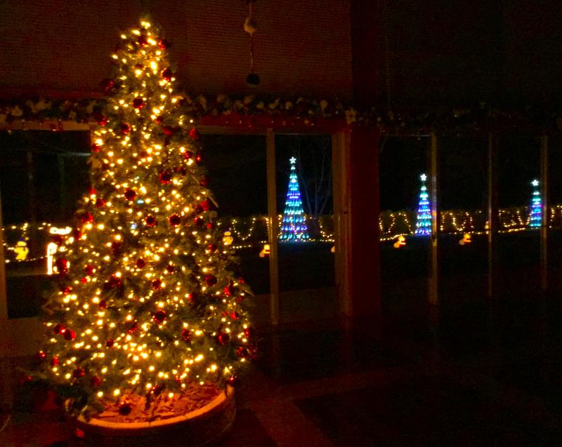 大きなクリスマスツリーにも光が灯されました！