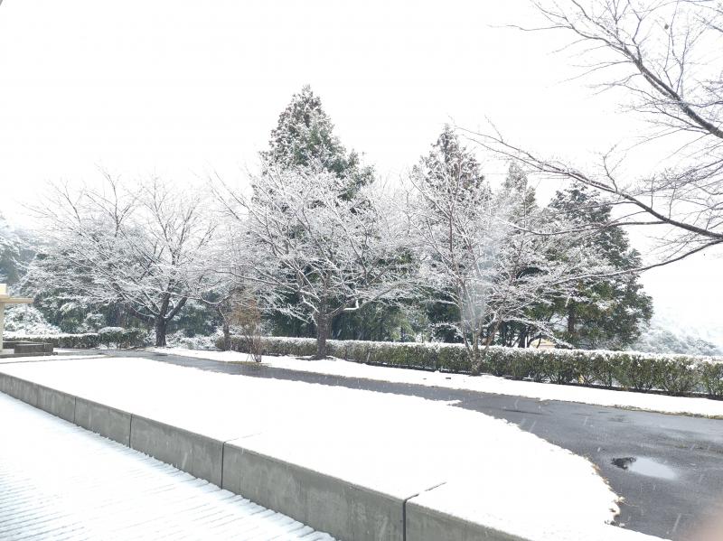 園庭が綺麗な雪景色となりました