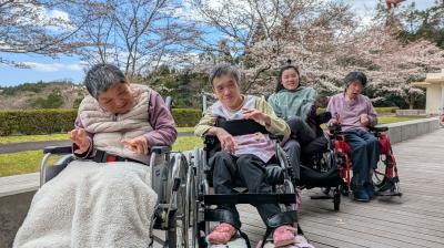 お花見会（お花見編）