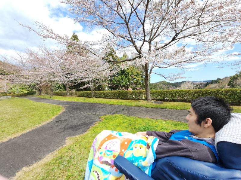 ジーっと桜を見つめていました