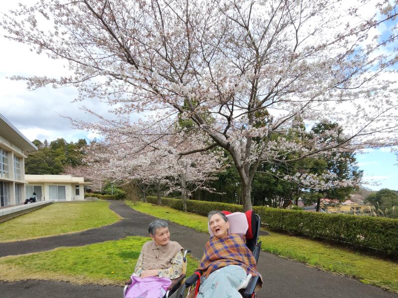 「桜きれいだね~」とさくらを満喫中