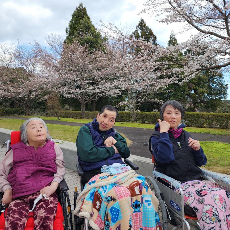 お花見最高!!