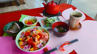 春爛漫！笑顔あふれるお花見会を開催しました(お食事編)