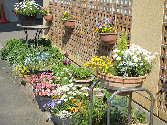 玄関前の花壇