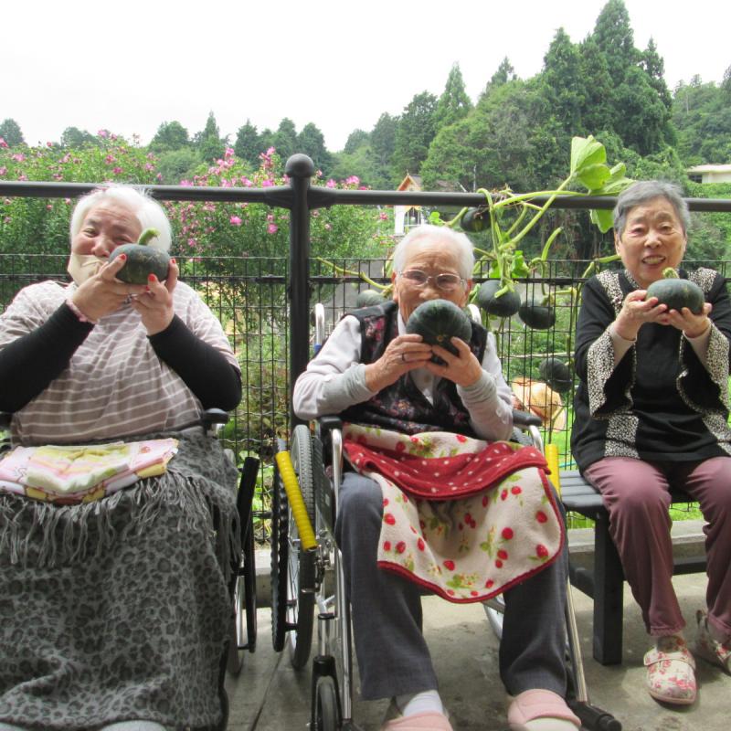 「収穫しました！」とかぼちゃ三姉妹