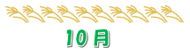 松籟荘ガーデニング　２０２４　晩秋～冬