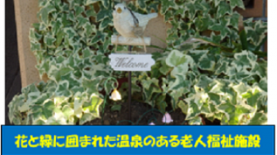 松籟荘ガーデニング　２０２４　晩秋～冬