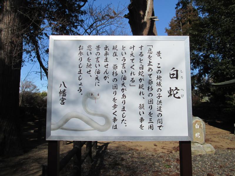 令和７年　初詣⛩