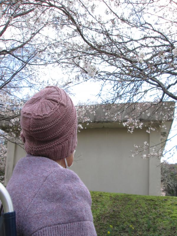 『春のお花見ドライブ~Inさくら宇宙公園』