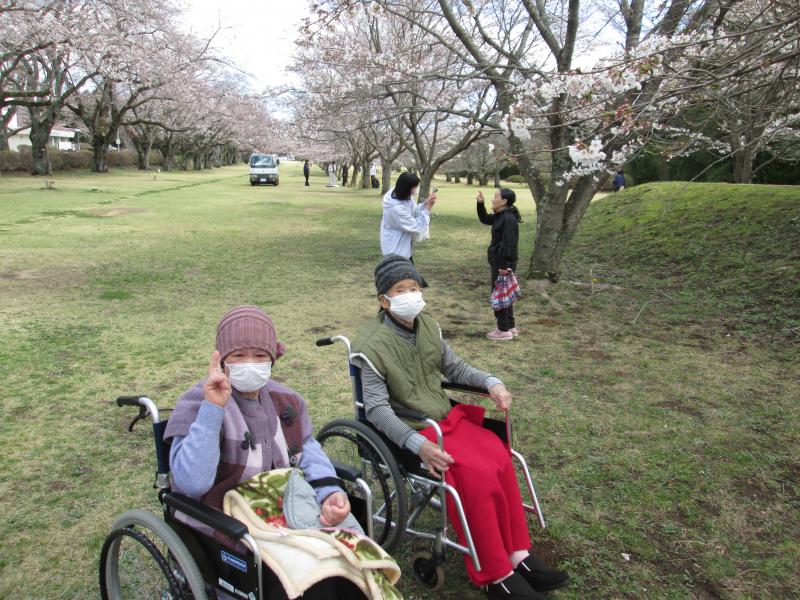 『春のお花見ドライブ~Inさくら宇宙公園』