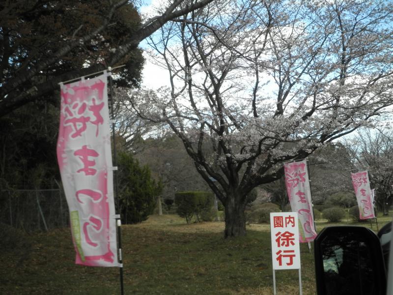 『湯っくり館 春のドライブ』