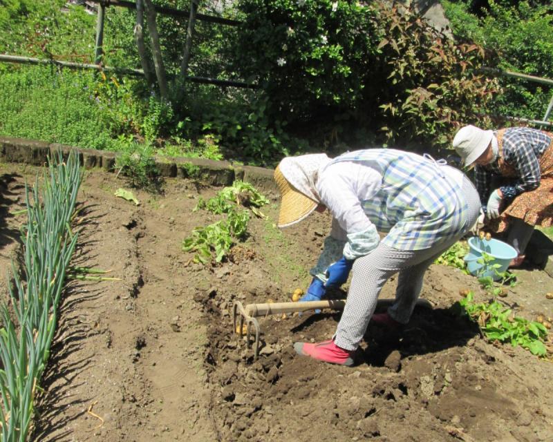 ユニット菜園プチ自給自足10