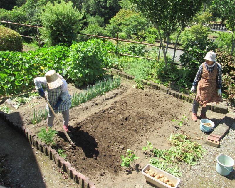 ユニット菜園プチ自給自足10