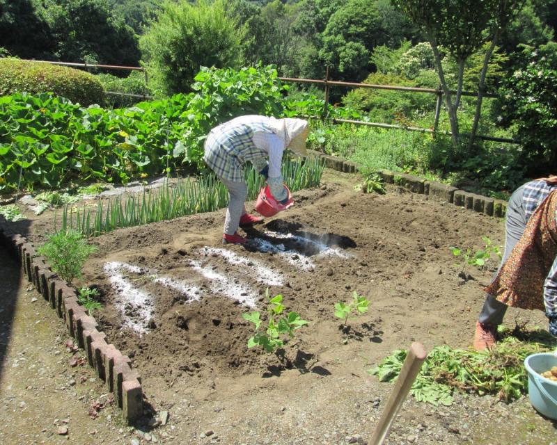 ユニット菜園プチ自給自足10