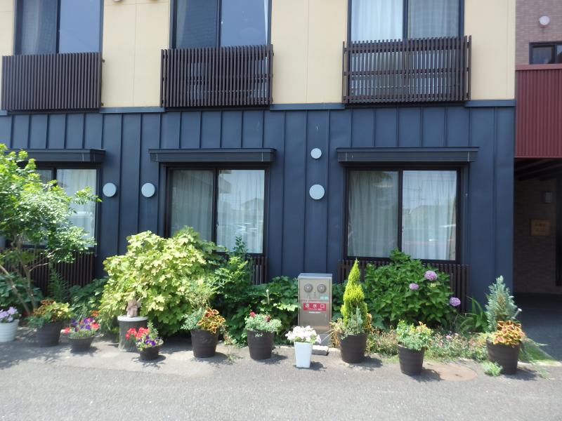 お部屋に面した花壇とプランターの草花たち