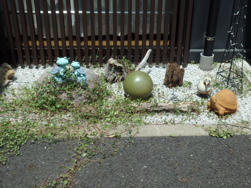 玄関前ではカエルとウミガメがお出迎え