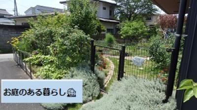 サテライト安良川別館の小さなお庭２０２５夏　