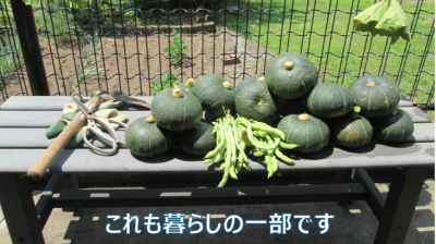 ユニットプチ菜園１１