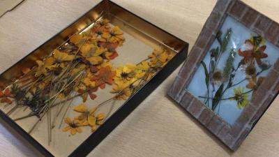 押し花の作品作り