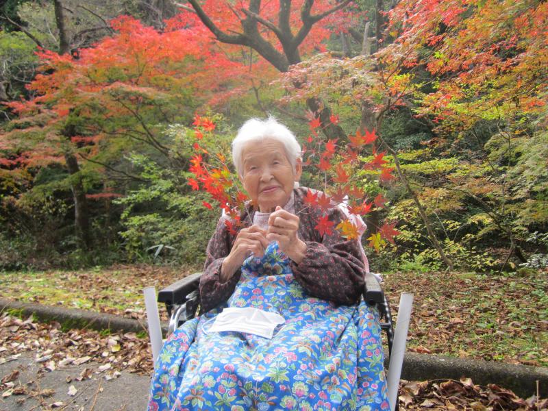 秋の紅葉ドライブ🍁　２０２５