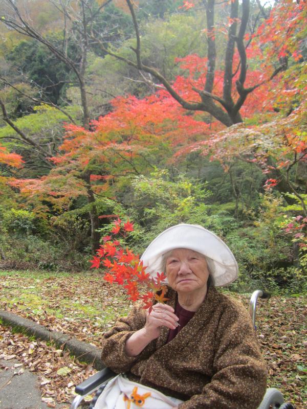 秋の紅葉ドライブ🍁　２０２５