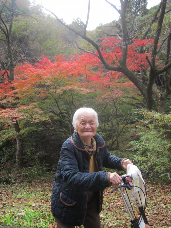 秋の紅葉ドライブ🍁　２０２５