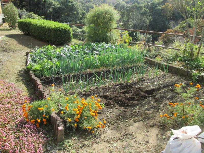 『ユニットプチ菜園 13』