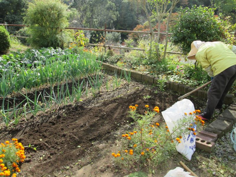 『ユニットプチ菜園 13』