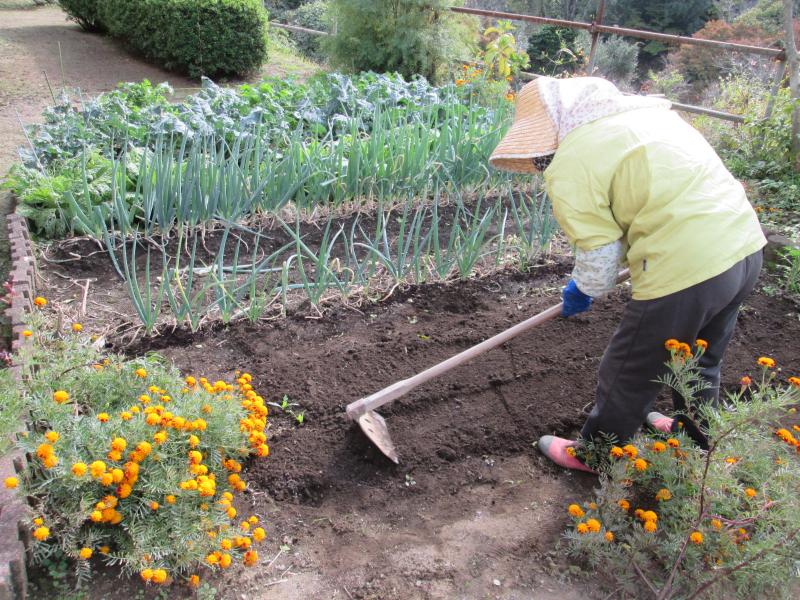 『ユニットプチ菜園 13』