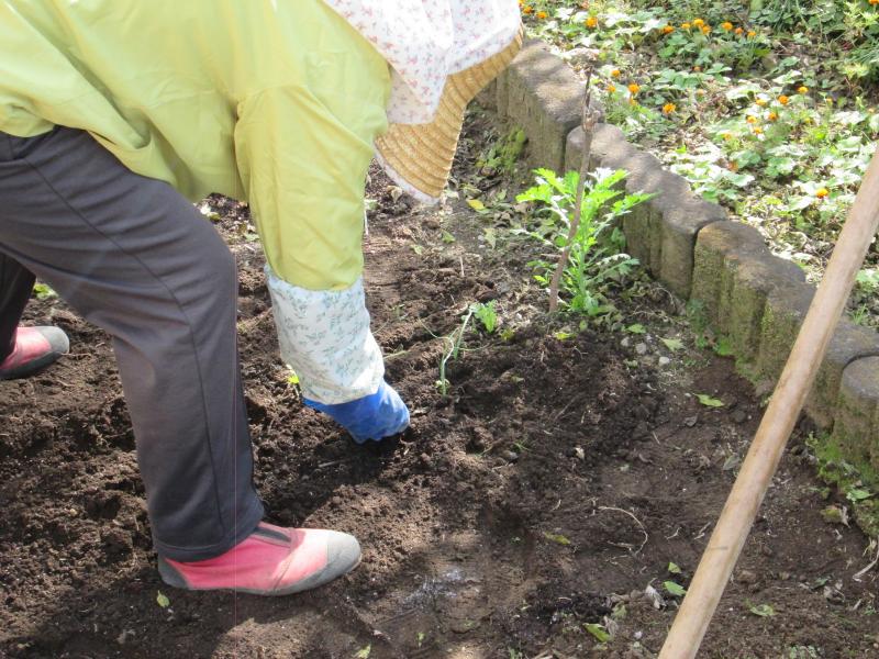 『ユニットプチ菜園 13』