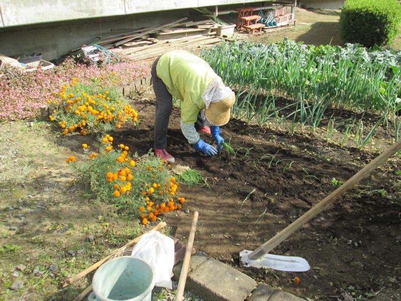 『ユニットプチ菜園 13』