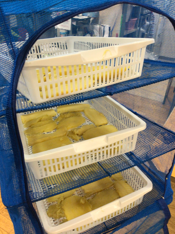 七並べと干し芋作り