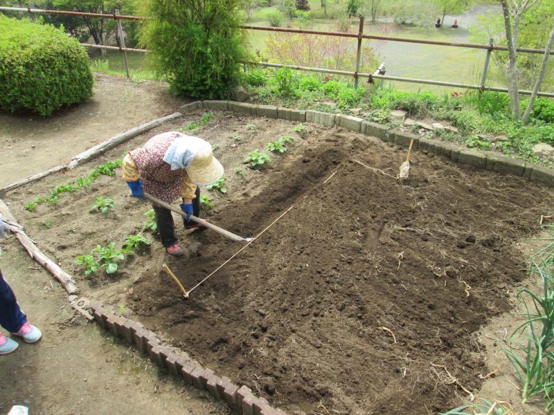 西町プチユニット菜園　１６