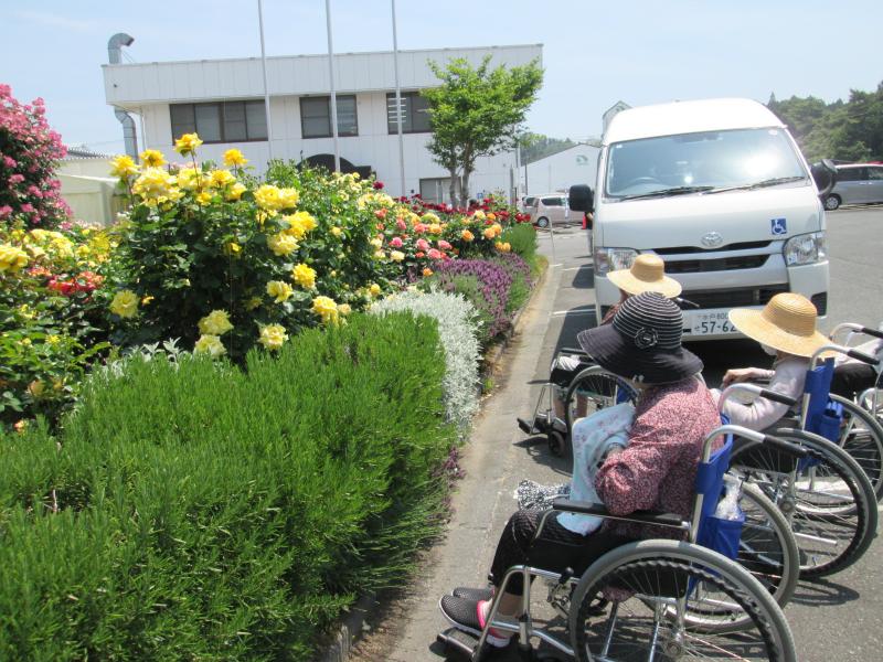バラドライブ 2026.5